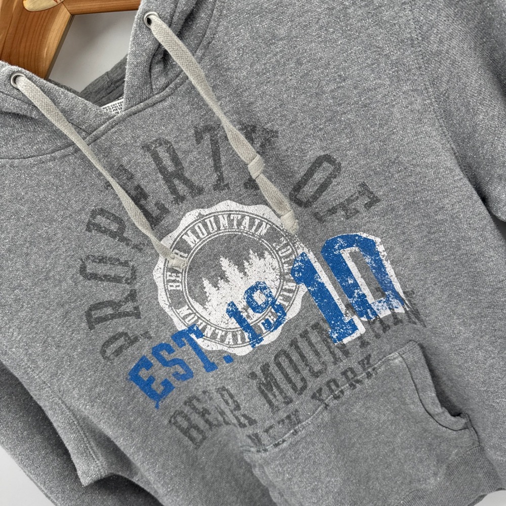 Camp David Bear Mountain Hoodie Women M‎ Gray Blue Pullover Est. 1993 NY